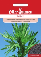 Beifu Artemisia vulgaris