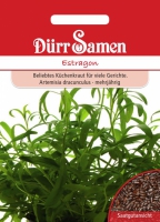 Estragon Artemisia dracunculus
