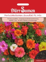 Portulaca grandiflora Portulakrschen Sundial F1 Mix