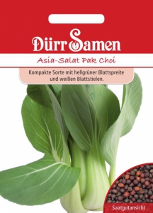 Asia-Salat Pak Choi