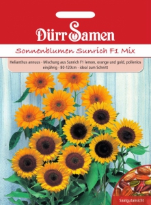 Helianthus annuus Sonnenblumen Sunrich F1 Mix