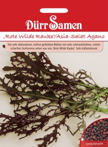 Rote Wilde Rauke / Asia-Salat Agano