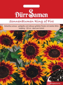 Sonnenblumen Ring of Fire