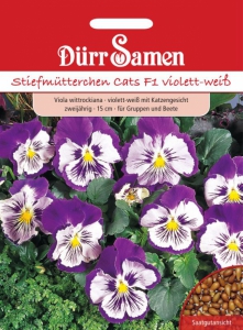 Viola wittrockiana Stiefmtterchen Cats F1 violett
-wei