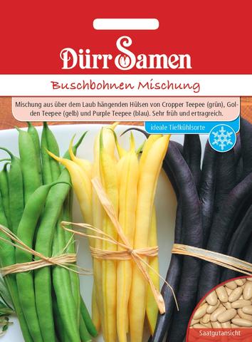 Drr-Samen Buschbohnen Mischung grn-, gelb- und blauhlsigen Bohnen