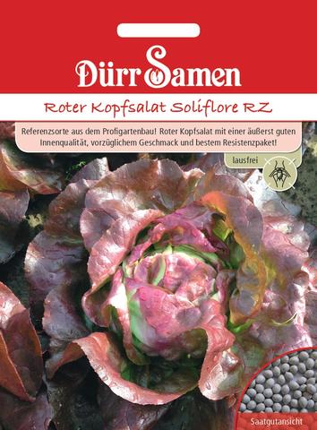 Kopfsalat Soliflore RZ rot | Kopfsalatsamen von Drr Samen