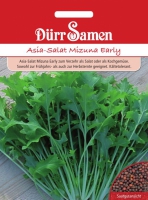 Asia-Salat Mizuna Early