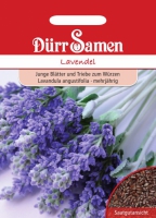 Lavendel Lavandula angustifolia