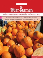 Mini-Halloween-Krbis Harvest Princess F1