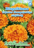 Ringelblume,Erfurter Orangefarbige
