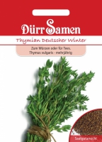Thymian Thymus vulgaris