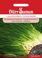 Winterhecke Allium fistulosum