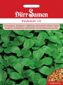 Feldsalat Vit