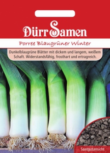 Porree Blaugrner Winter