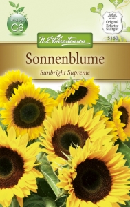 Sonnenblume,Sunbright Supreme F1