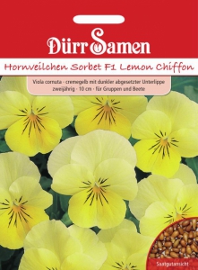 Viola cornuta Hornveilchen Sorbet F1 Lemon Chiffon