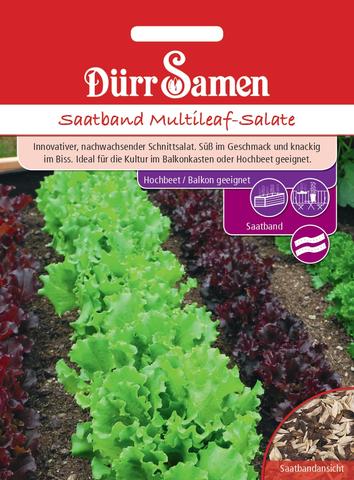 Saatband Multileaf-Salate fr Balkon | Salatsamen von Drr-Samen