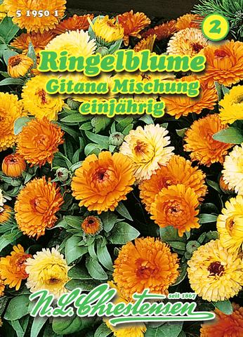 Ringelblume Gitana-Mischung einjhrig, Sommerliche Farbtne von gelb bis orange Calendula officinalis