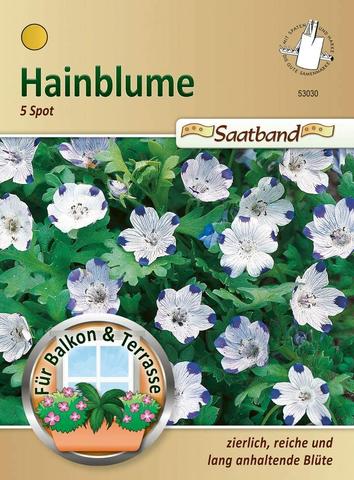 Hainblume 5 Spot Saatband für Balkon & Terrasse zierlich reiche und lang anhaltende Blüte Nemophila