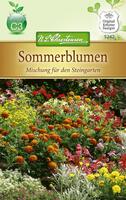 Steingarten Sommerblume (Steingartensamen)