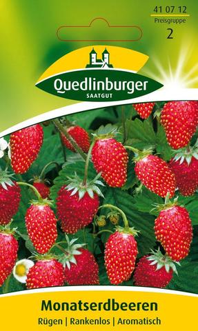 Erdbeeren, Monatserdbeeren Rgen, Fragaria vesca