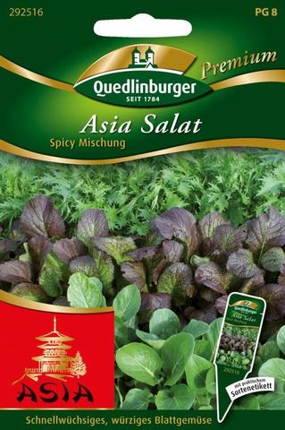 Asia-Salat Spicy Mischung Quedlinburger Saatgut