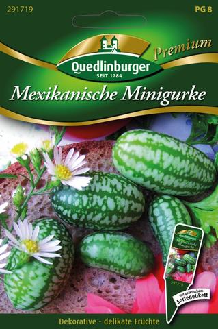 Mexikanische Minigurke Deko Gurke Salat Samen Saatgut Smerei Gurken Beet