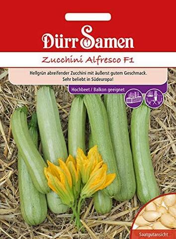 Zucchini Alfresco F1 Zucchinisamen