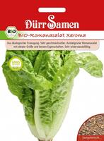 Bio Römersalat Xaroma (Bio-Römersalatsamen)