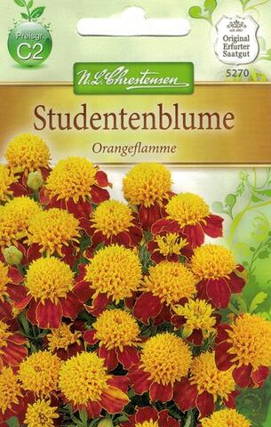 Studentenblume Orange (Studentenblumensamen)
