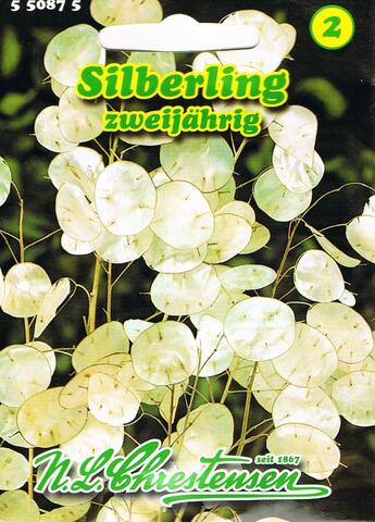 Silberling Lunaria annua Trockenblume