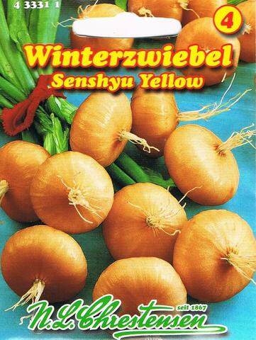 Winterzwiebeln Senshyu Yellow