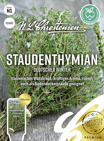 Staudenthymian Deutscher Winter