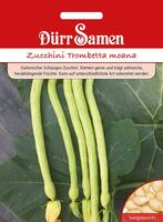 Zucchini Trombetta moana