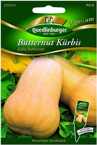 Krbis Butternut - Early Butter