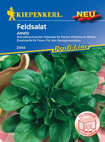 Feldsalat Amely