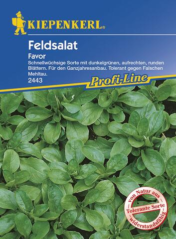 Feldsalat Favor